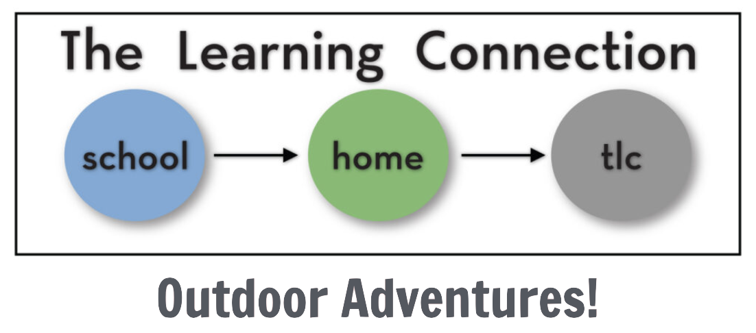 The Learning Connection