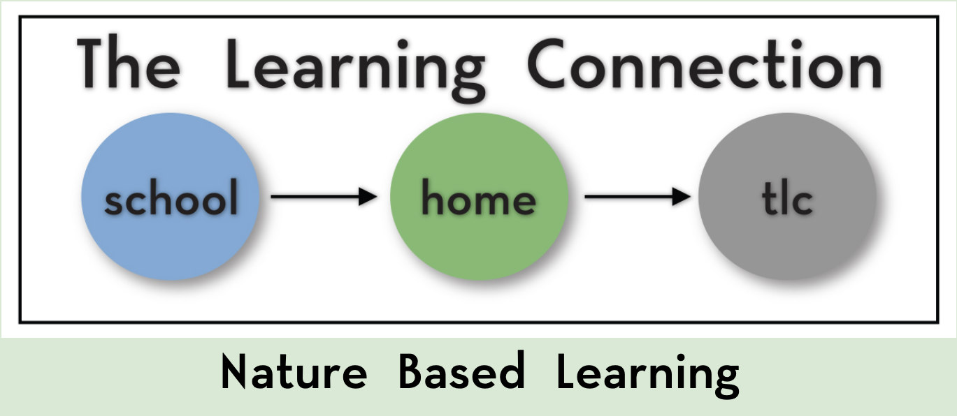 The Learning Connection